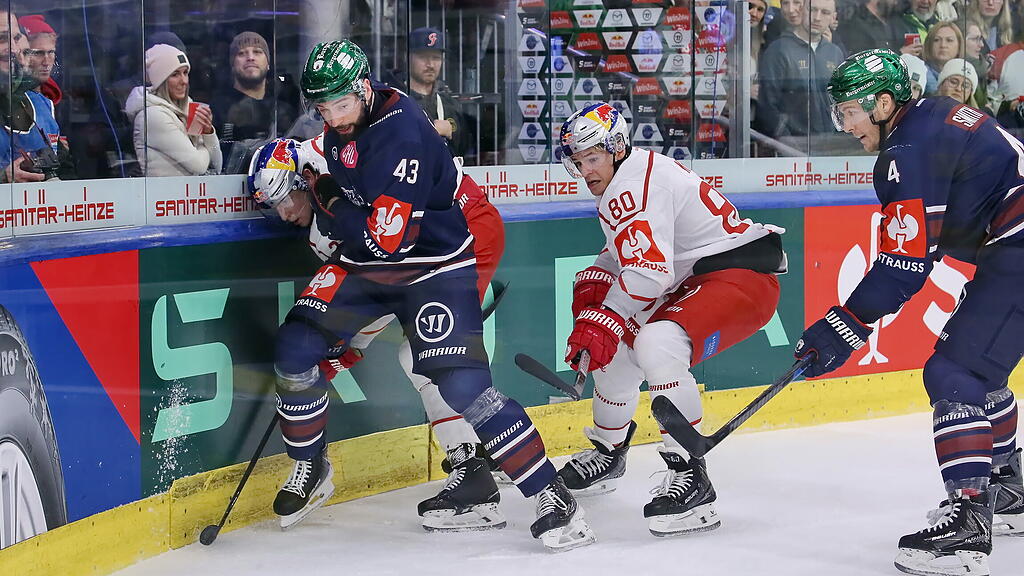 Eisbullen gegen Eisbären Berlin