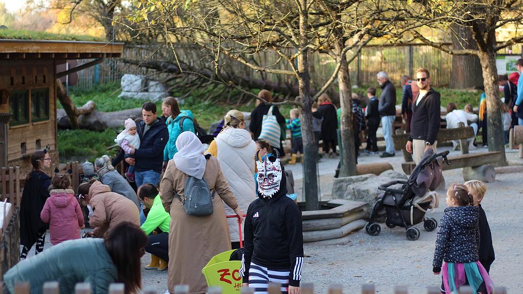Halloween im Zoo