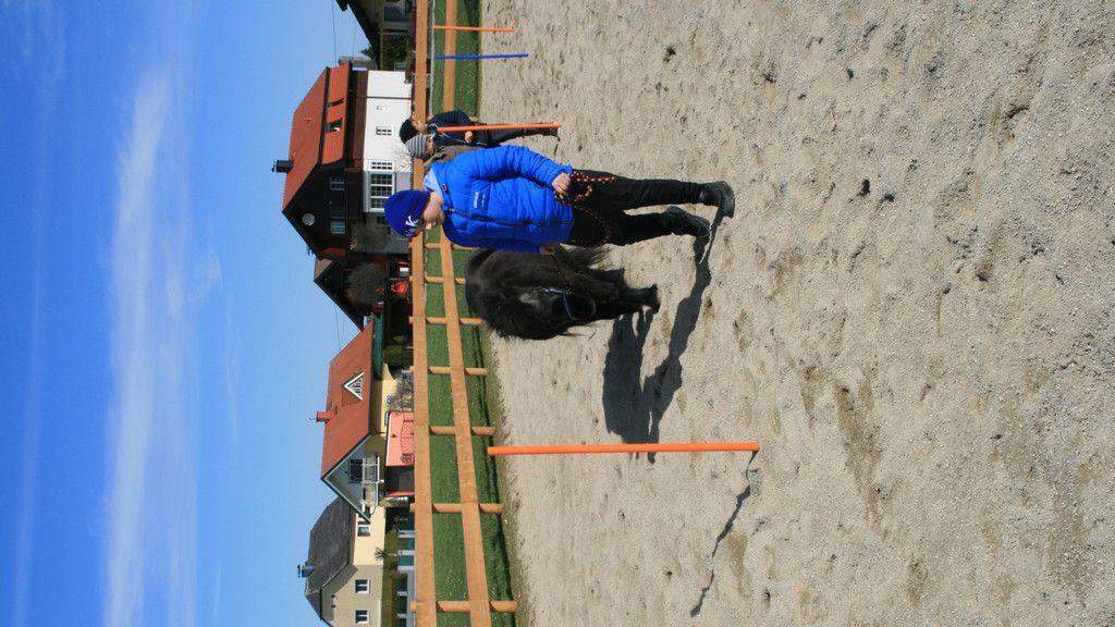 Neubauers Stadtstall: Bauernhof zum Lernen und Anfassen