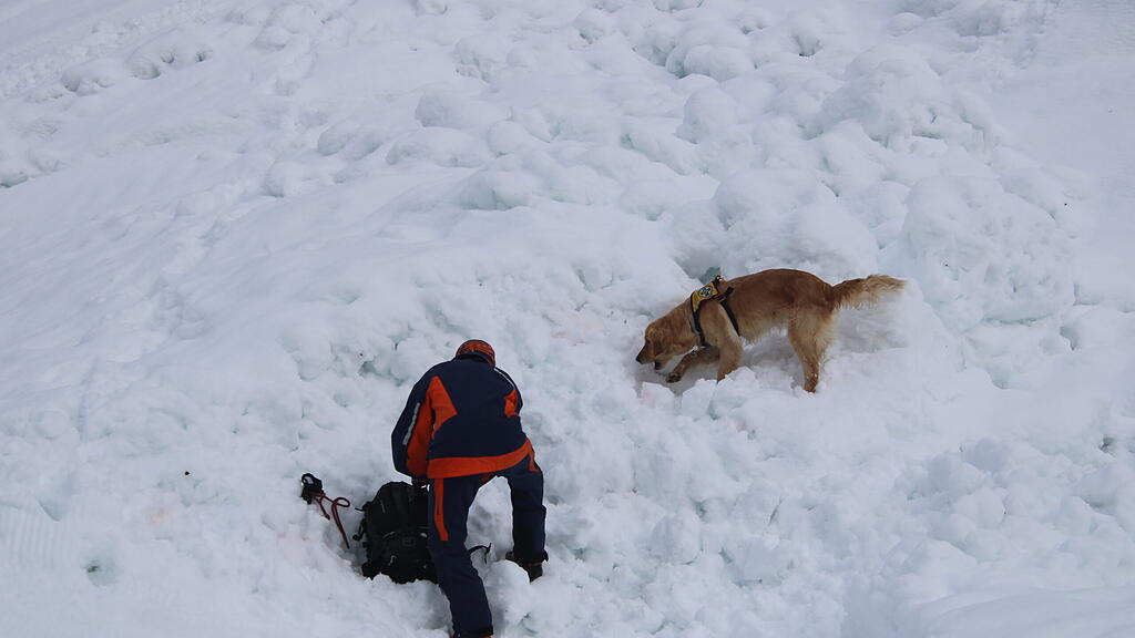 Lawinenhunde Bergrettung Training