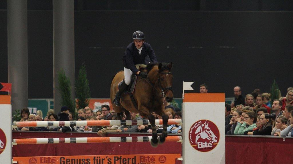 Mevisto Amadeus Horse Indoors 2014 in der Salzburgarena