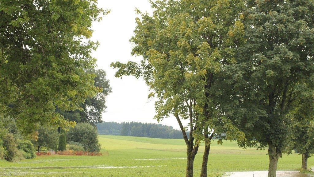 Starkregen sorgt für Überschwemmung