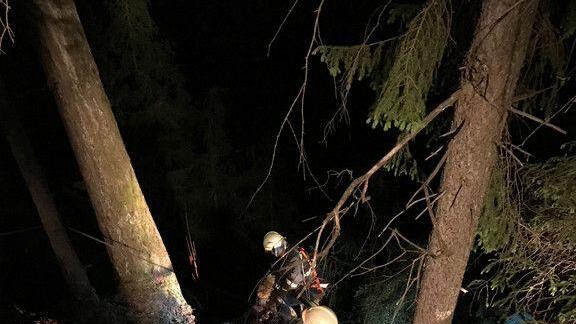 Waldbrand Lend