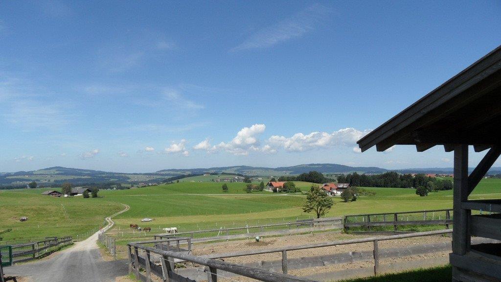 Weitere Tierbilder