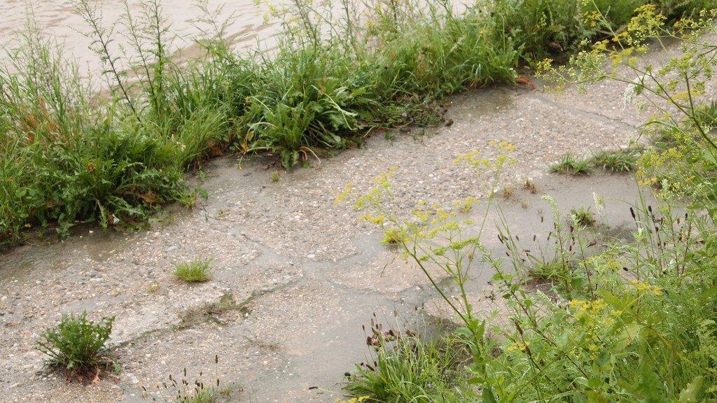 Hochwasser in Oberndorf
