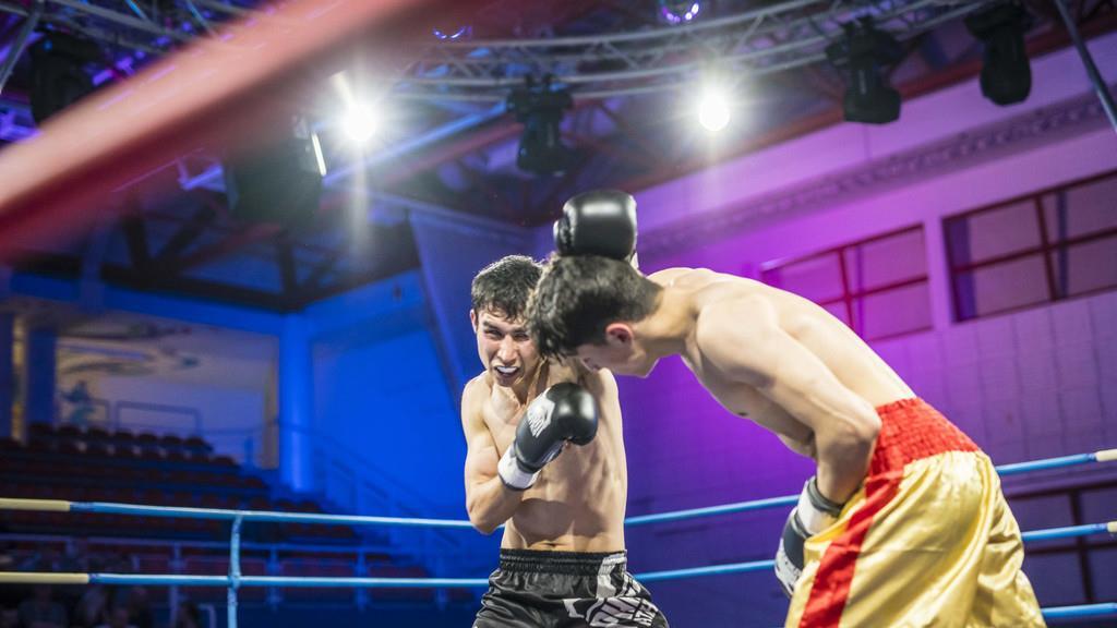 Salzburger Fight Night II