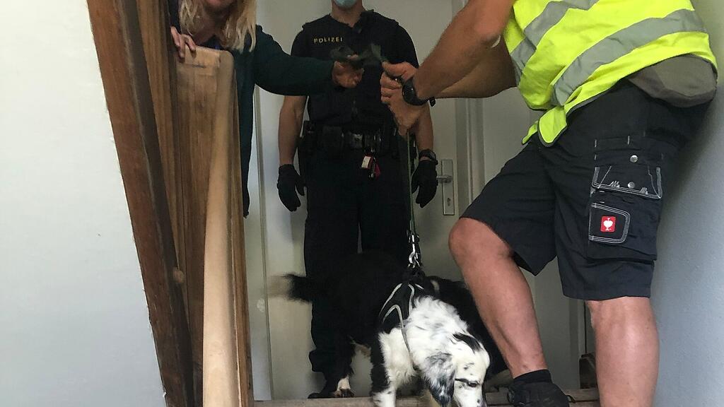 Verwahrloste Tiere in Braunau