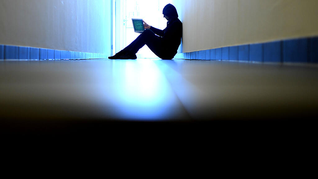 Internetbetrug, Betrug