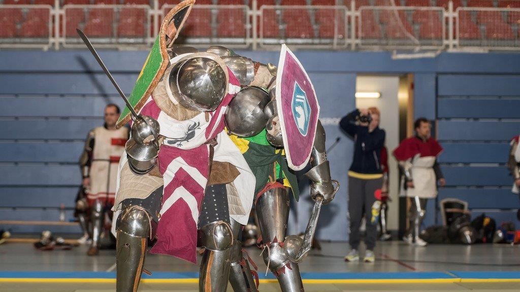 Battle of Nations: Qualifikation in Salzburg