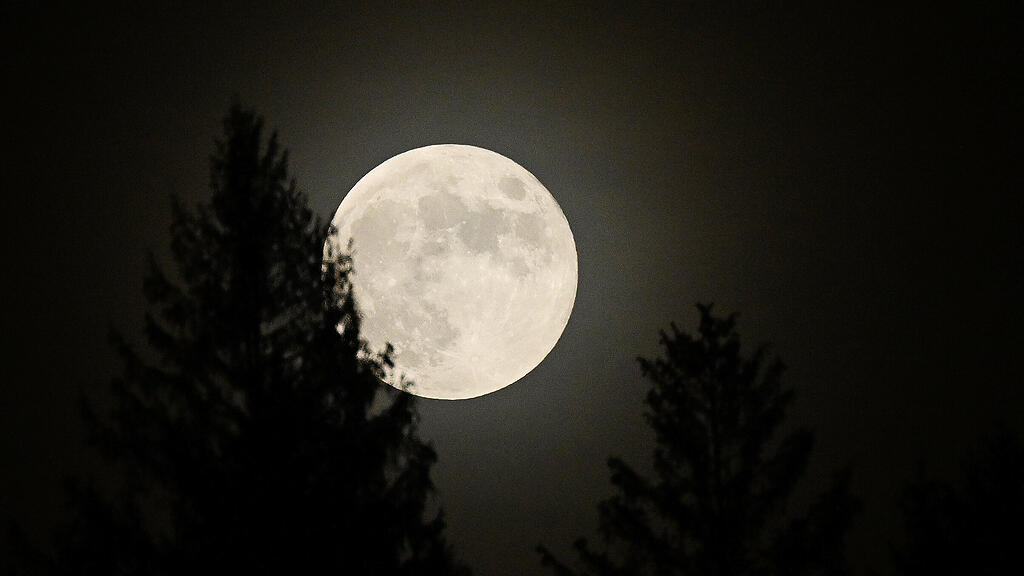 Vollmond