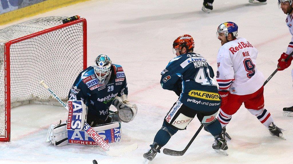 Red Bull Salzburg - Black Wings Linz
