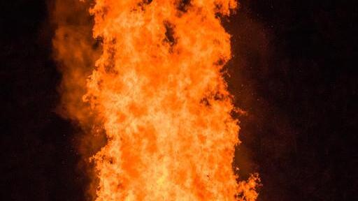 Burning Animal II