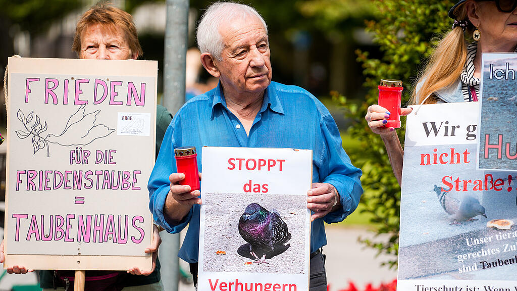 Mahnwache für Stadttauben in der Stadt Salzburg