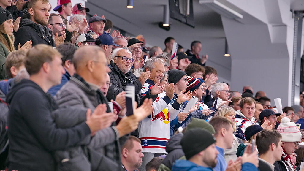 Eisbullen gegen Eisbären Berlin