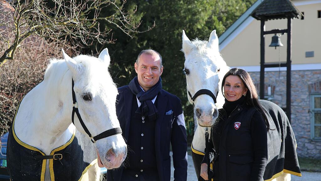 Gut Aiderbichl beherbergt Lipizzaner