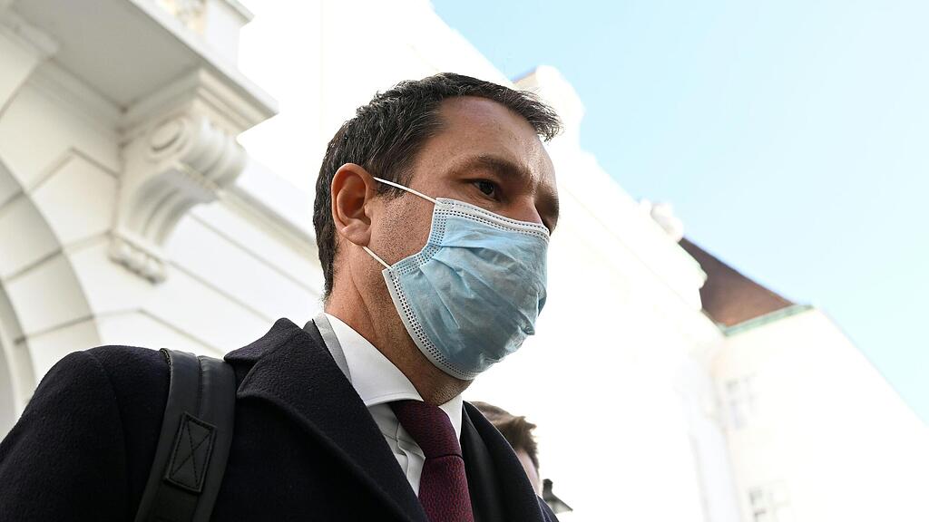 Thomas Schmid U-Ausschuss