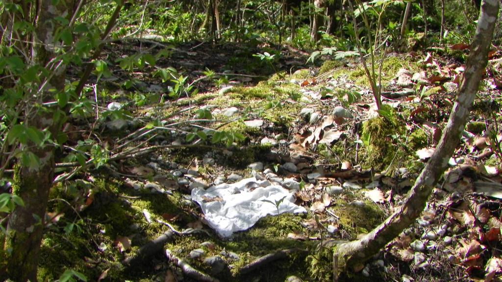 Strubklamm: Müllberge & Feuerstellen