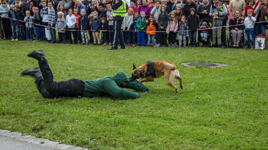 Tag der Polizei III