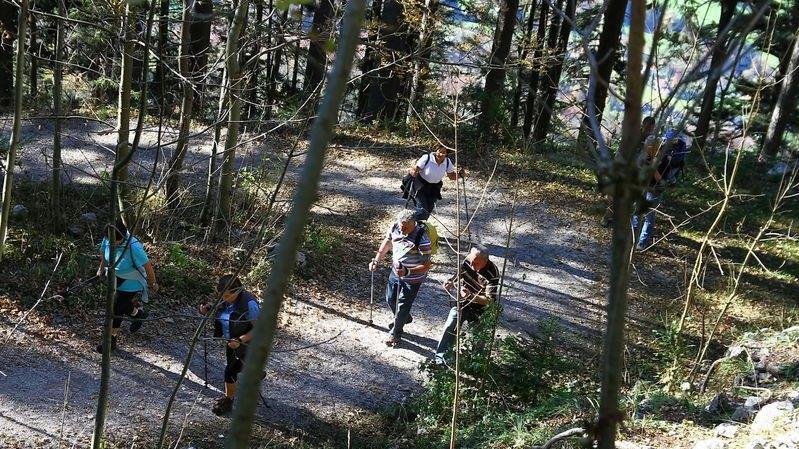 Charity-Walk am Gaisberg