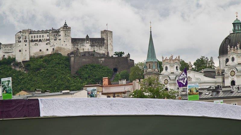 Mozartstadt in Violett-Weiß