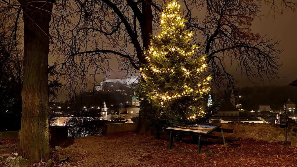 20201128_fmt_weinachtsbaum_KJ001.JPG