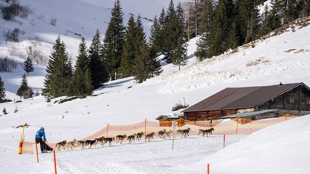 Schlittenhunde-WM in Sportgastein, Samstag