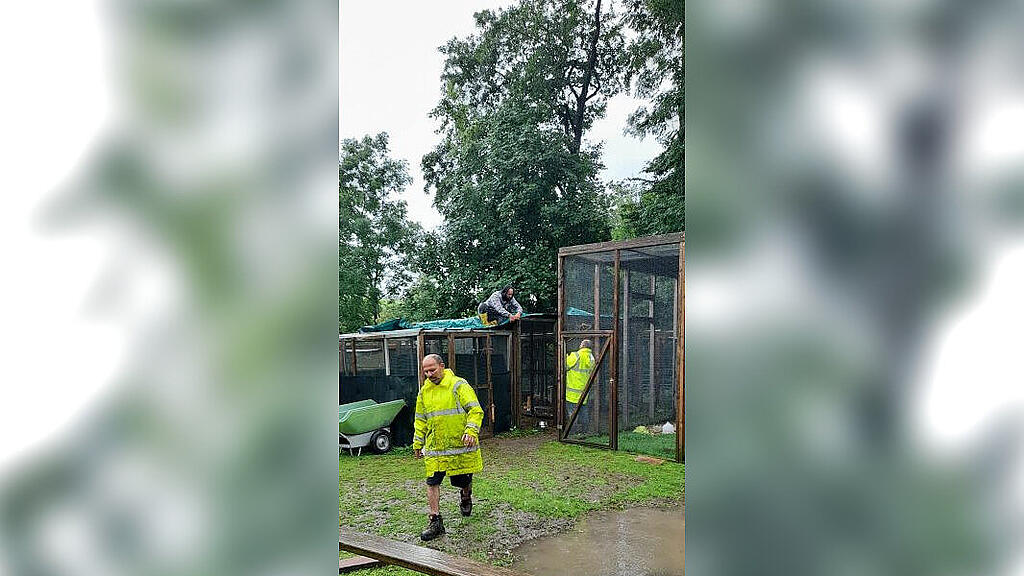 Pfotenhilfe Hochwasser