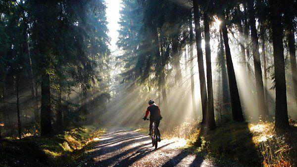 Folgenschwerer Sturz beim Bergabfahren