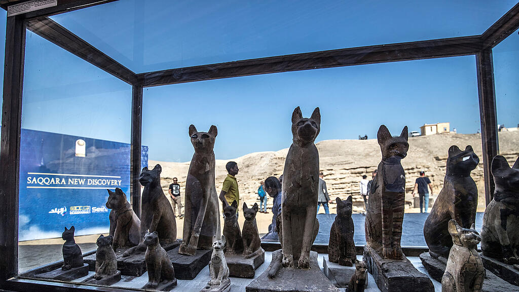 Mumifizierte Löwenbabys in Ägypten