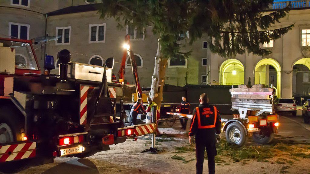 Christbaum ist angekommen