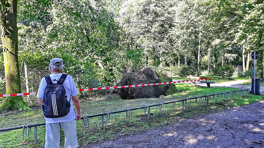lepi unwetter schäden