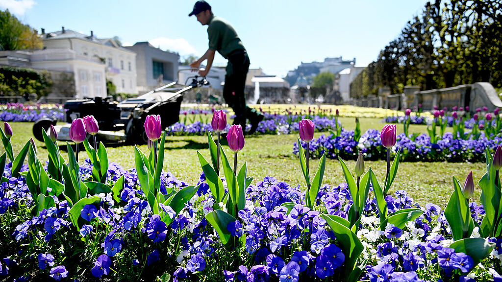 frühling12.jpg