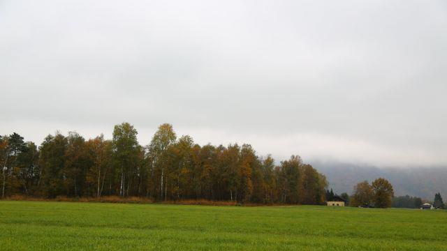 Bilder vom Gaisberg
