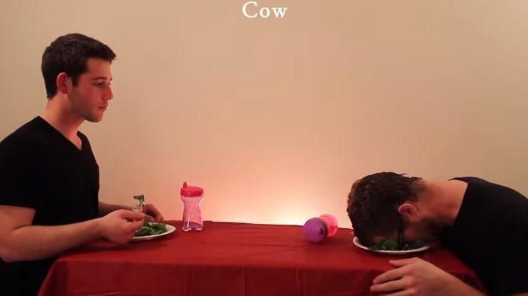 Wie essen eigentlich Tiere? Unser Video des Tages gibt die Antwort...