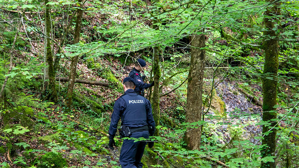 Suchaktion rund um den Untersberg II