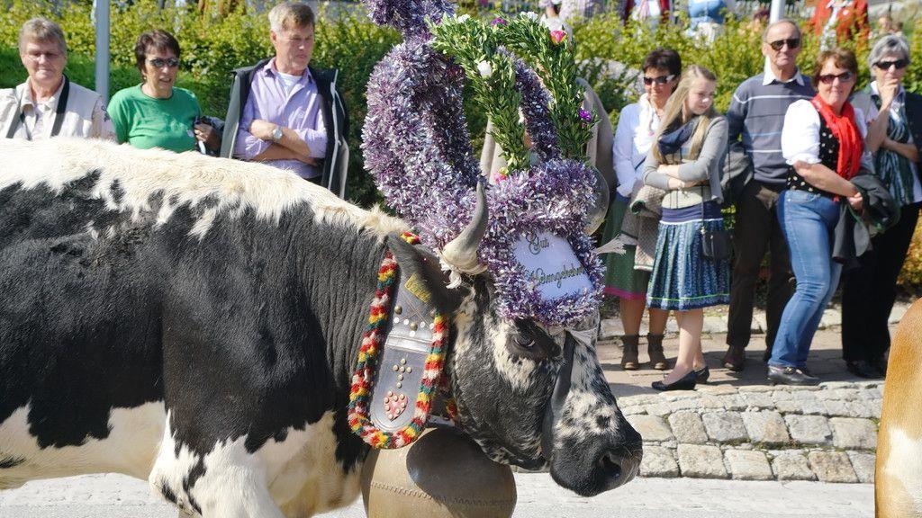 Bauernherbst-Fest in Krimml