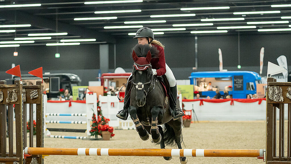 Amadeus Horse Indoors 2023