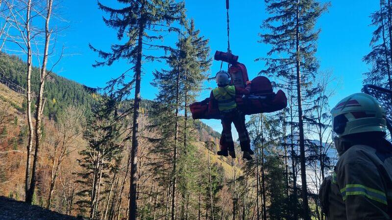 Forstunfall in Kuchl fordert Schwerverletzten