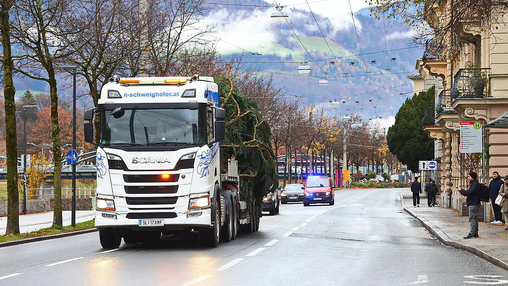 Baum am Christkindlmarkt eingetroffen II
