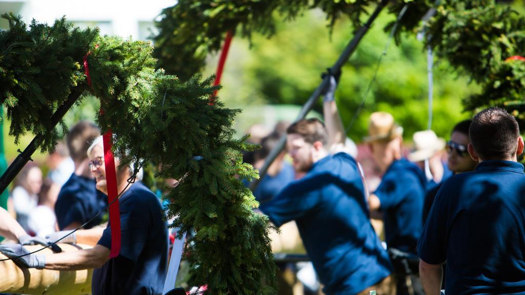 Maibaum in Anif