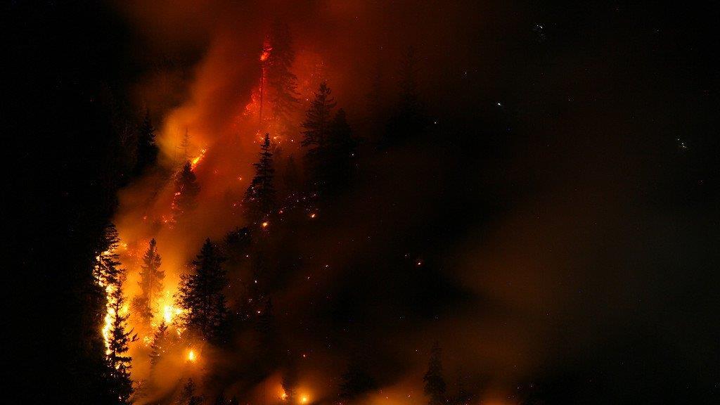 Waldbrand am Thumsee, III