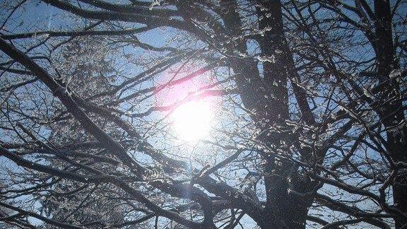 Traumwetter in Bayern