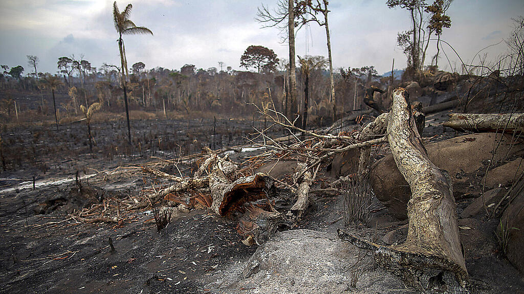 In Brasilien wüten die schwersten Waldbrände seit Jahren