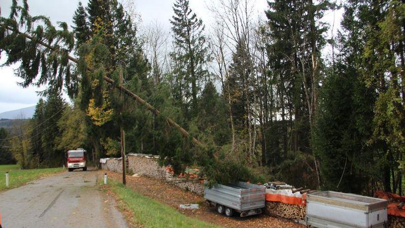 Einsätze in Thalgau