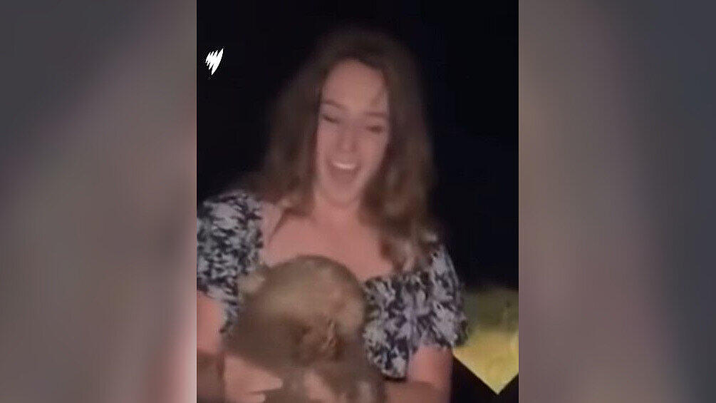 wombat