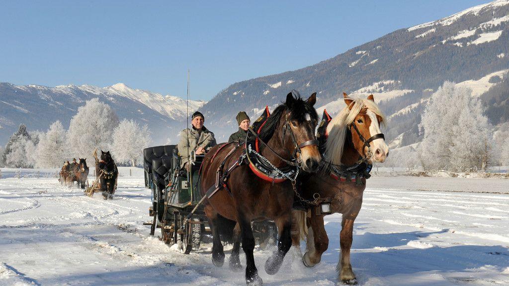 Historische Pferdegespanne im Lungau