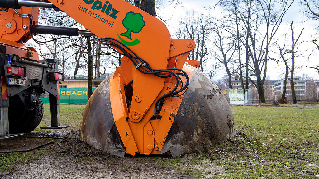 Baumverpflanzung im Volksgarten