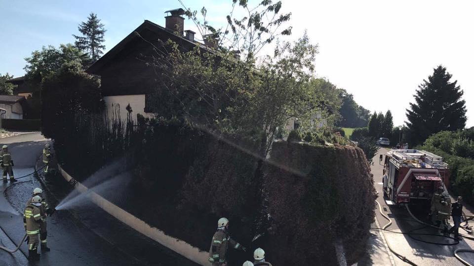 Heckenbrand in Henndorf