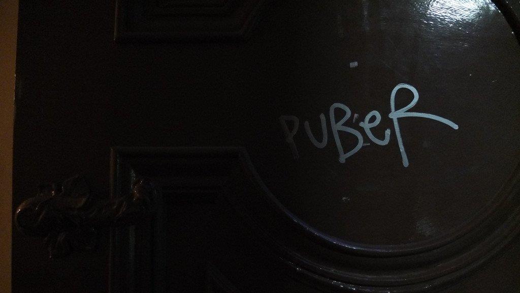 "Puber" in Wien festgenommen