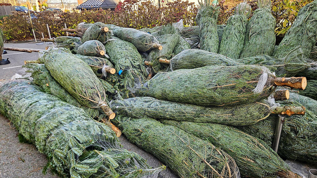 Aufbau des Plainer Christkindlmarkts in Bergheim